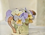 Violets & Watering Can Photograph, purple and yellow wall art, shabby chic, vintage inspired home decor, spring flowers - 8x8