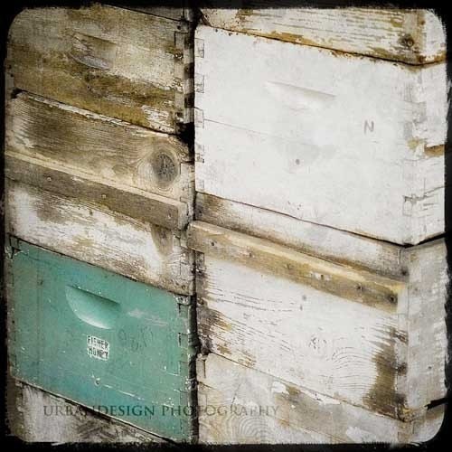 Vintage Beehive Boxes Photo - aque white brown beekeepers - 8x8 For The Love Of Bees Print