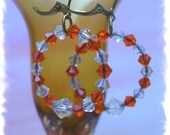 Fire and Ice Earrings