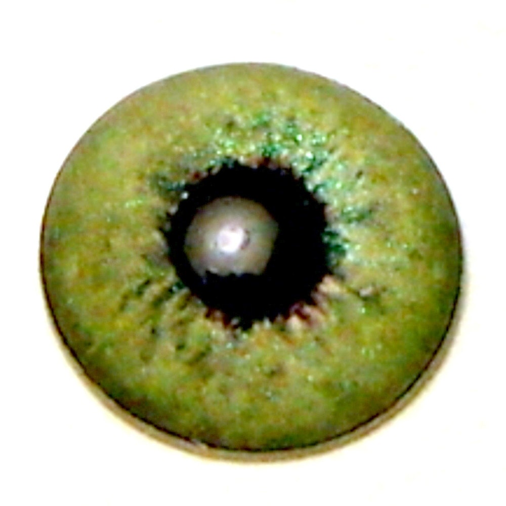 Doll Irises 11.5 mm semi-metallic color Sage
