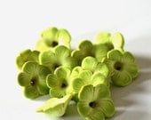 Polymer Clay Flower Beads, Bright Green Sculpted Slice Beads 545 - tooaquarius