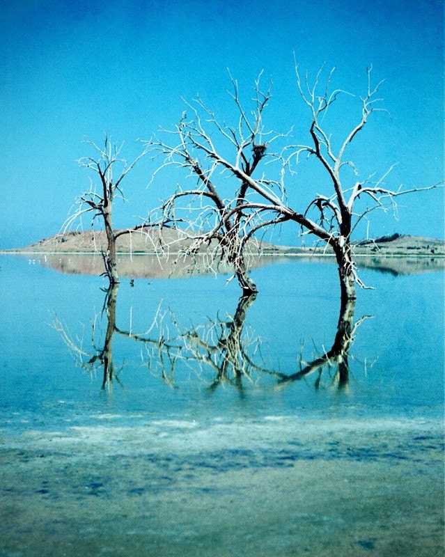 The Salton Three 8x10 Signed Fine Art Photograph