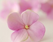 Made to Order - Lilac Purple Hydrangea Hair Flowers Set of 6