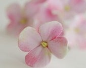 Made to Order - Light Pink Hydrangea Hair Flowers Set of 6