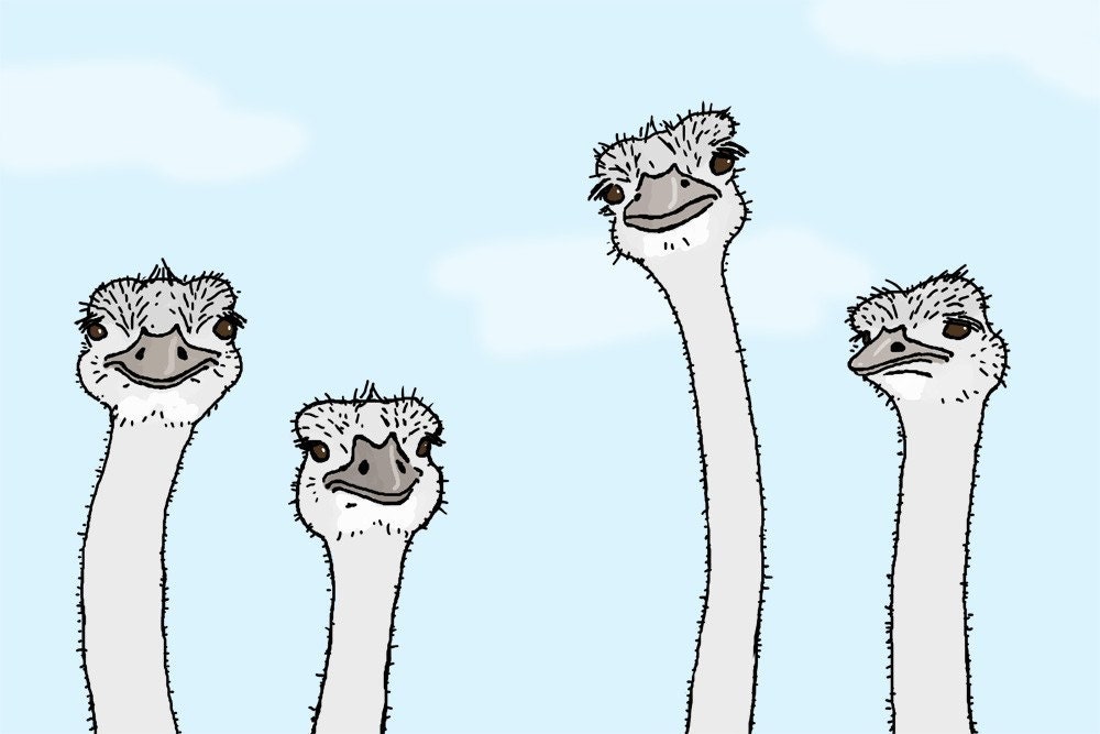 ostrich art print: unimpressed