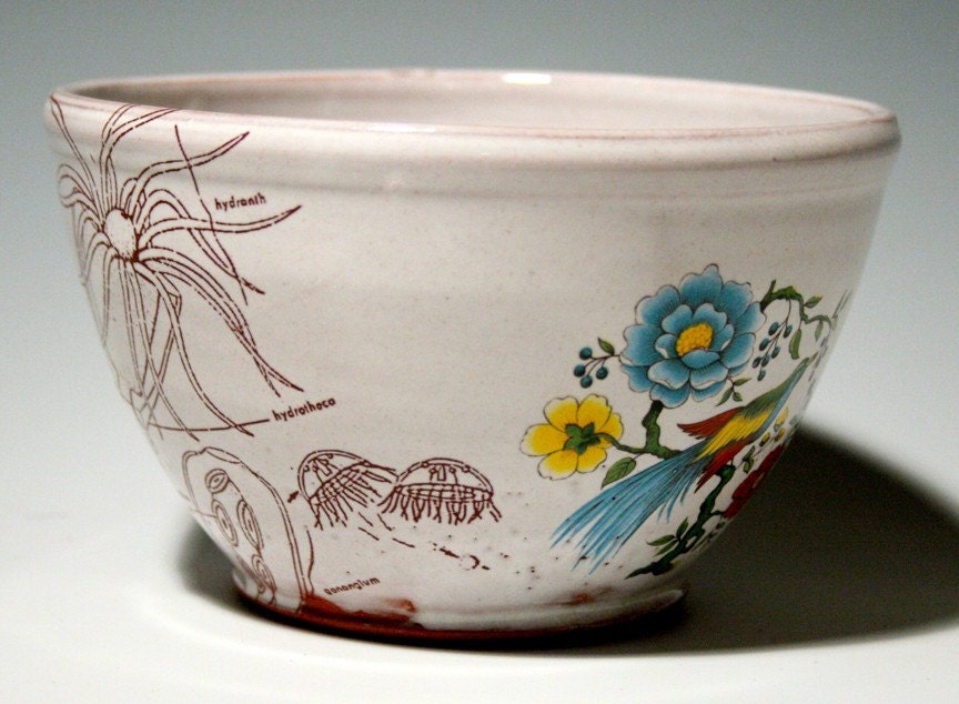 Sea Life Bowl