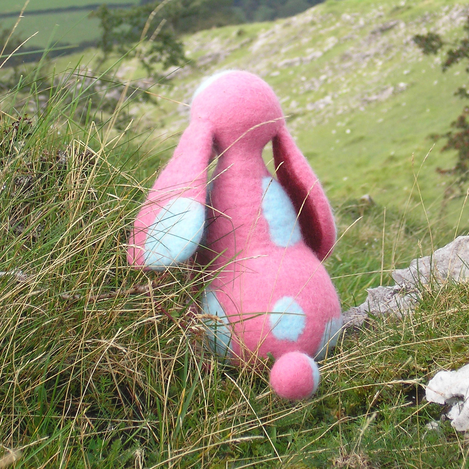 Pink Dawg