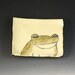 Handbuilt Ceramic Soap Dish with Frog