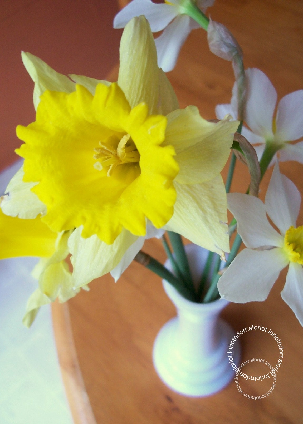 Photo. Spring Bouquet.