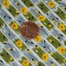 Vintage Fabric- Little Yellow Roses