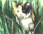 Limited Edition Print with Mat - Calico Cat - Kitten
