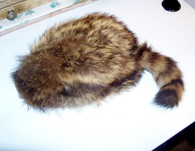 davy crockett coon hat