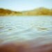 Water Photography - landscape lake golden honey ochre yellow sun drenched woodlands water reflection olive green