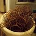 24 Reserved for Ashleigh Antique Old Vintage Rusty Crusty Bed Spring Coils Metal Supplies Industrial