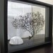 Clear Sea Fan Seafan Coral Reliquary