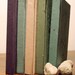 NEW LINE - Herbology Notebook (dark cover)