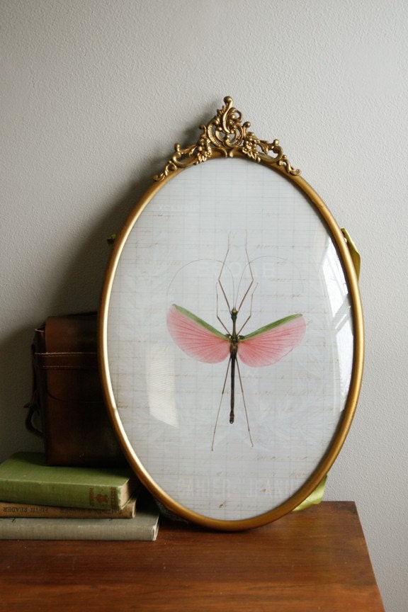 Antique Oval framed Pink Walking Stick