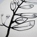 curious sprig - original gouache painting sketch