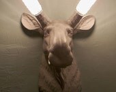 Illuminated Nature............Wall Sconce, Faux Taxidermy,Mount,Moose Head,White,Deer