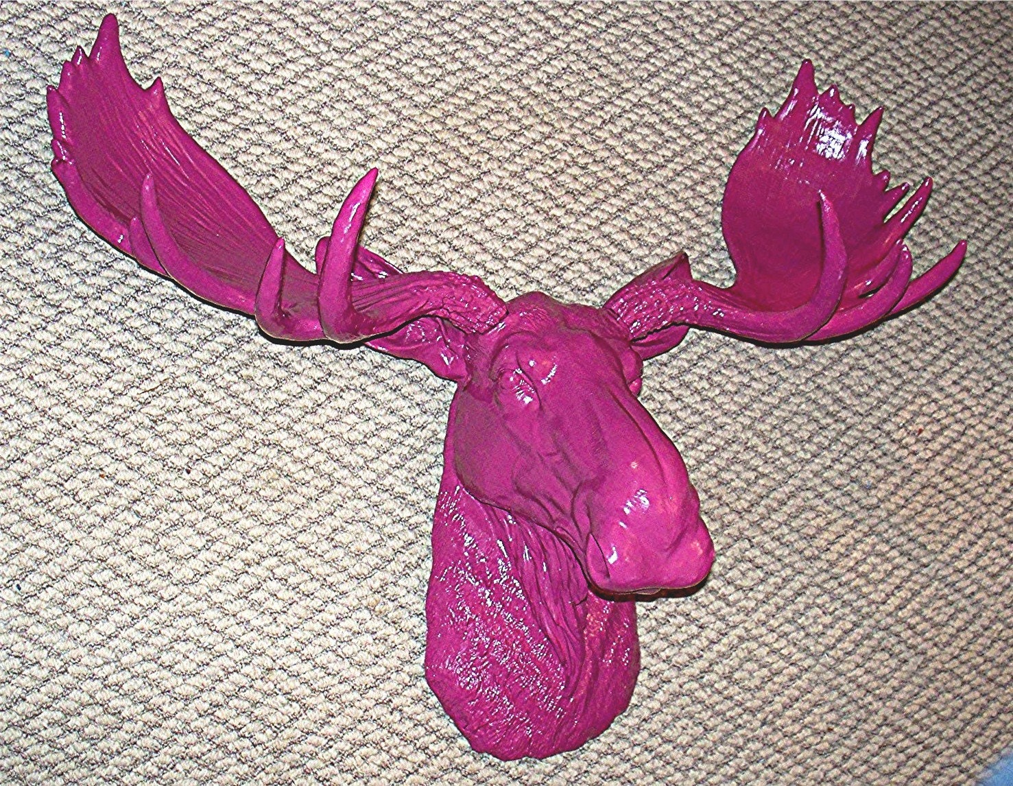 Rasberry Sorbet Moose.........Faux Taxidermy,Antlers,Moose Head,Mount,Deer