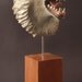 Snarling Wolf Mask  carved wood,