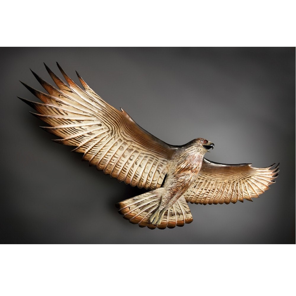 Surveying Hawk