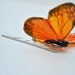 butterfly hair pin monarch 'one wish'