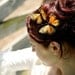 butterfly hair pin monarch 'one wish'
