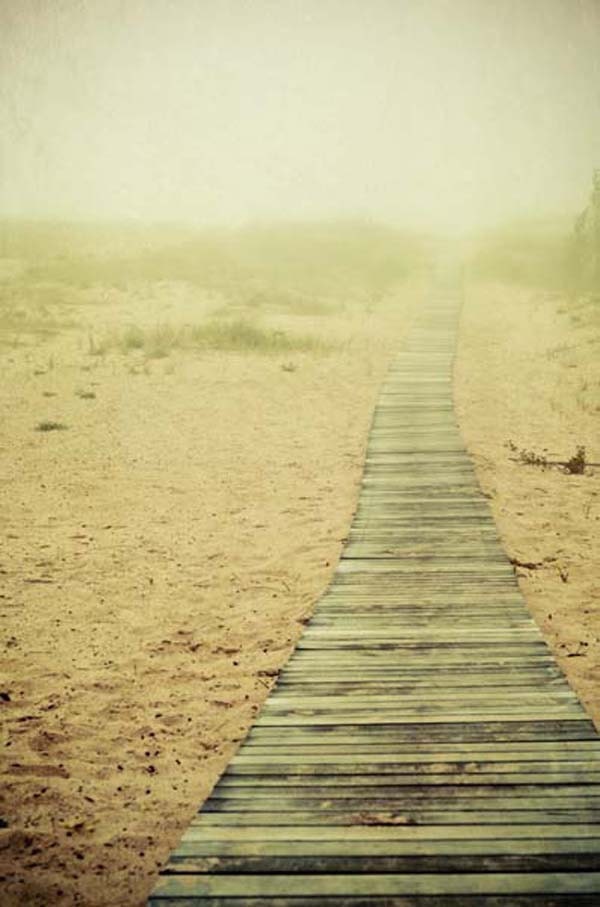 dreamy nature fog photography . beach photo . coastal nautical print . cottage chic home decor . Come to the Beach