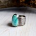 Turquoise and Sterling Silver Songbird Ring, HOME