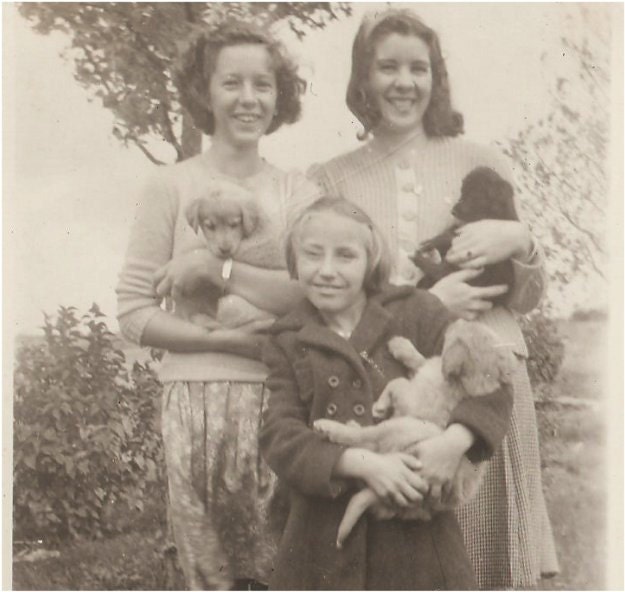 sale -Adorable VIntage Dog Photo - Cute Children holding a litter of Puppies - Teen Gals and Littel Sis and the most adorable puppy dogs