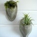 ZEN Mini Wall Pocket Concrete Sconce and Mexico AirPlant