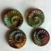 Shell Glass Beads. Czech Glass Spiral Shell beads. Aqua Topaz Picasso. (7) DB766 Fossil Shells tossed up by Hurricane Isaac