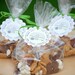 The Great CAMPOUT - Custom Cupcake Toppers and Their Wraps from Mary Had a Little Party