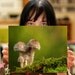Mushroom Photograph 8X10 Mushroom Print Affordable Home Photography Prints Nature Photography Decor Nature Lover Woodland Scene Fungi