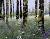 Nature, Landscape, Springtime, Fine Art Print, Giclee Archival Print, Photomontage, Collage, Painted Photographs,