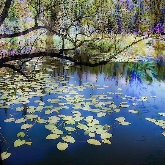 Nature, Landscape, Springtime, Fine Art Print, Giclee Archival Print, Photomontage, Collage, Painted Photographs,