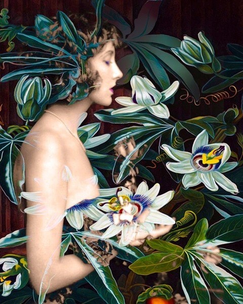 Fine Art Print, Giclee Archival Print, Photomontage, Collage, Painted Photographs, The Day of the Passion Flower