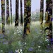 Nature, Landscape, Springtime, Fine Art Print, Giclee Archival Print, Photomontage, Collage, Painted Photographs,