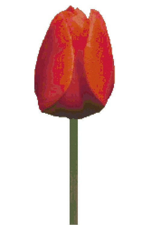 Red Tulip - a counted cross stitch pattern