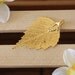 Real Birch Leaf 24kt Gold Necklace