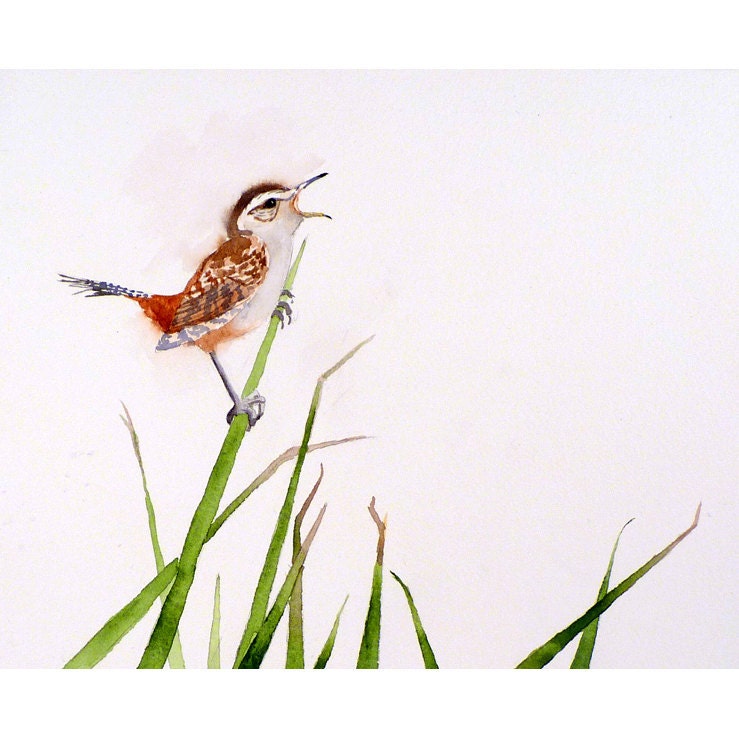 Bird Art Watercolor Painting Print - Wild Marsh Wren Illustration, Woodlands Painting Nature Art - Men Women Kids - Green, White Artwork