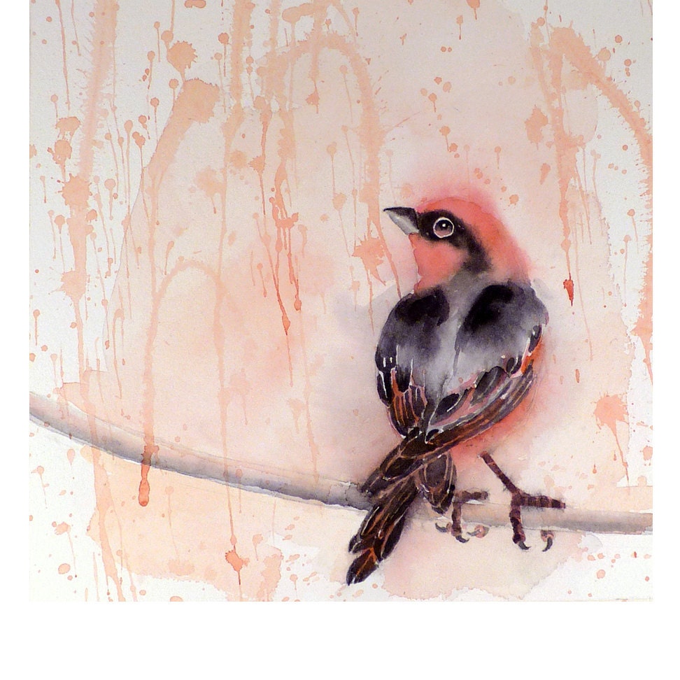 SALE 10% - Bird Art Original Watercolor Painting Men Women Kids Teens Finch Sunshine and Rain Nature Gift Under 75 USD