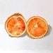 Art a Watercolor Juicie Orange for Lunch Fruit Apartment Autumn Dorm Print Women Men Orange Halves Sweet and Delicious Price Under 25