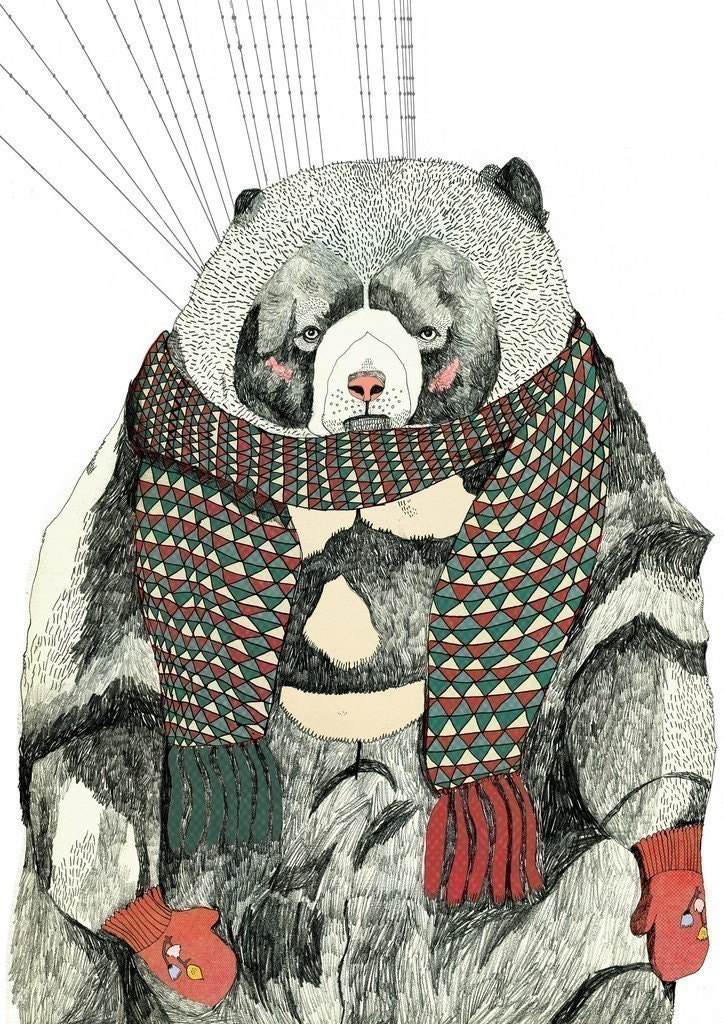 Woolly Bear 8 x 11 Print
