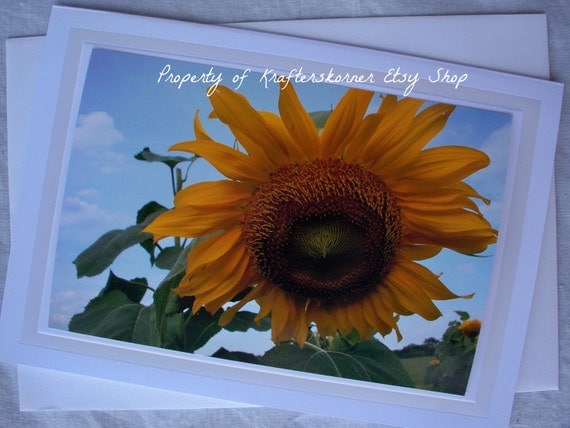 Floral Photo Card Sunflower Summer
