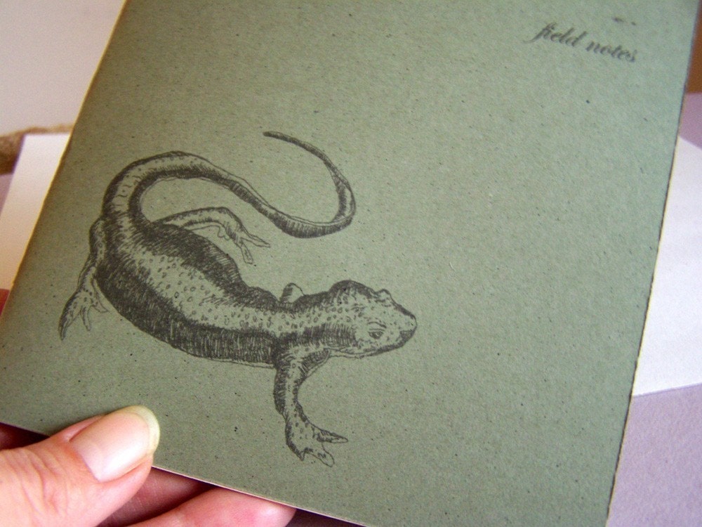 newt notebook - field notes for the naturalist