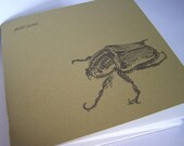 beetle notebook - field notes for the naturalist