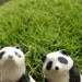 panda figurines - four little pandas - porcelain animal miniatures