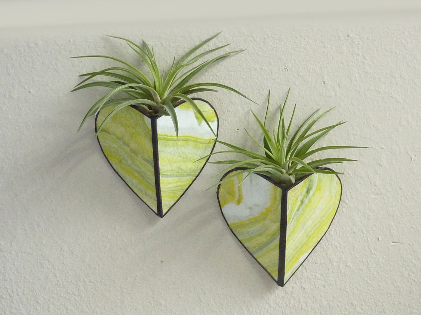 Stained glass Sconce -Air Plant Holder - Mellow Yellow